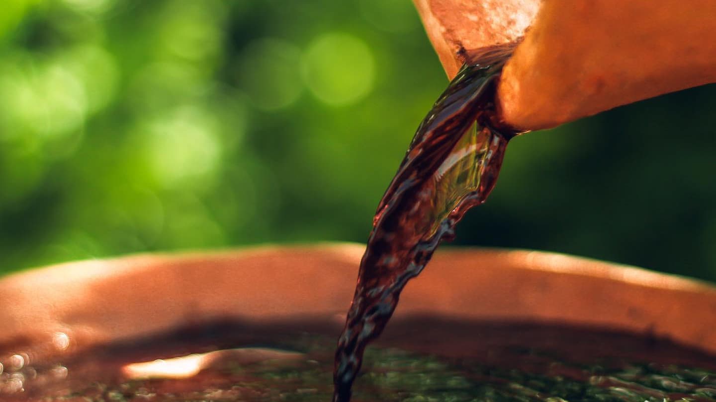 Georgian Wine: A Beginner's Guide