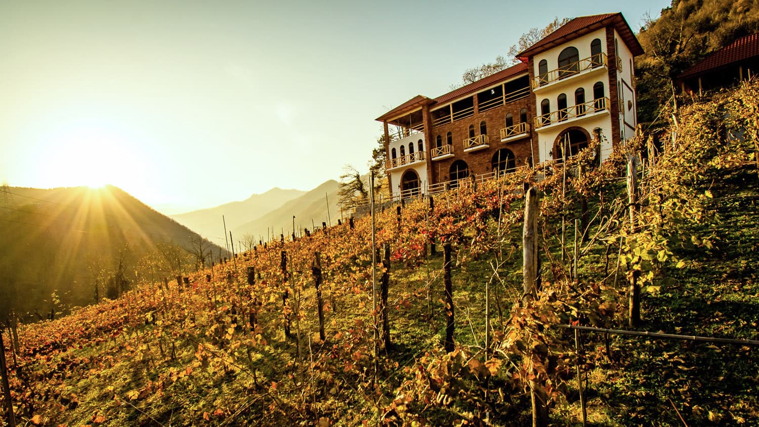 Khachapuri Cooking Masterclass view