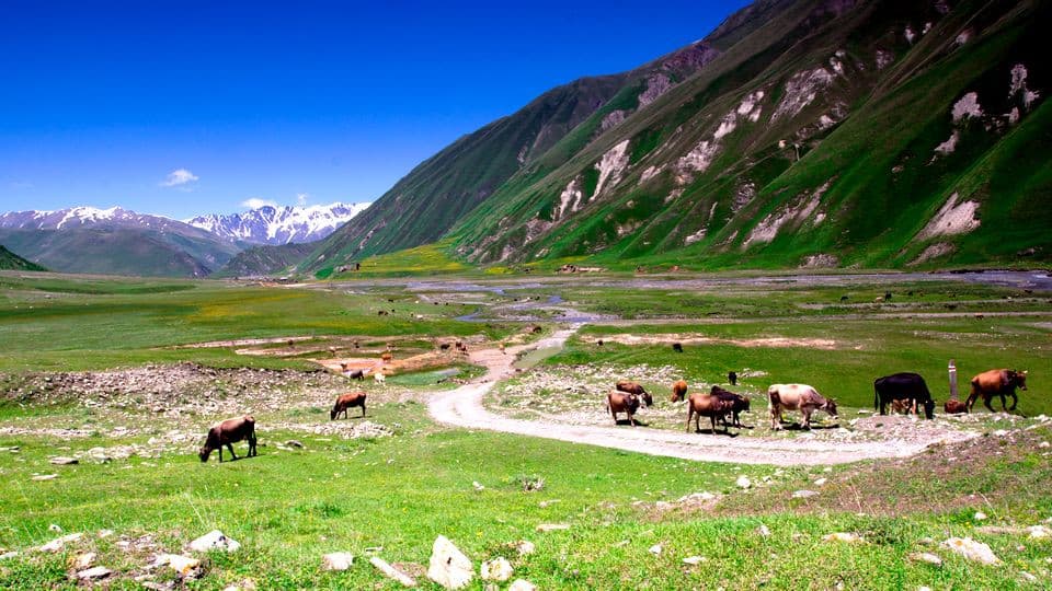Lagodekhi National Park Hike scenery