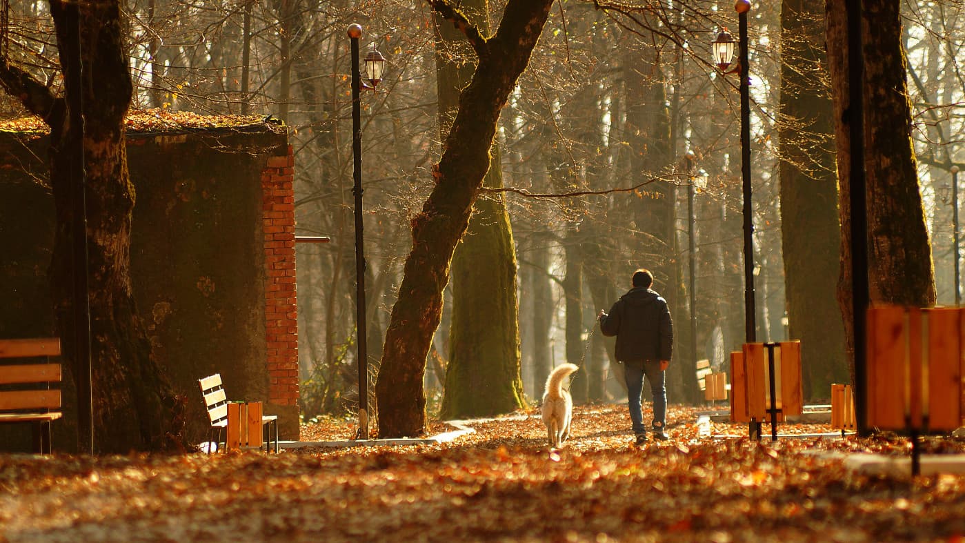 Lagodekhi Waterfalls